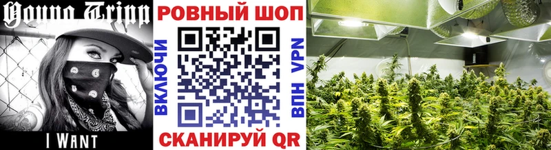 Купить закладку Каннабис  Мефедрон  Белорецк