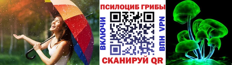 Псилоцибиновые грибы Psilocybe  Купить где  Белорецк 